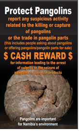 Protect Pangolins
