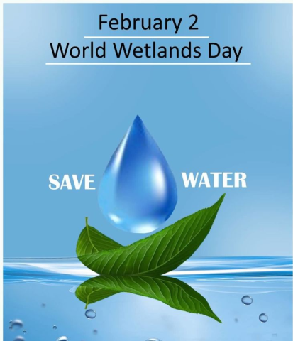 World Wetlands Day 