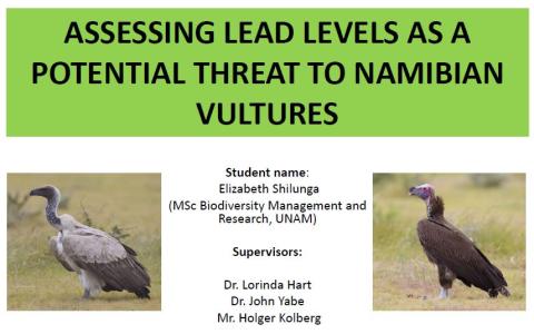 Presentation of research into Assessing lead levels as a potential threat to Namibian vultures: Elizabeth Shilunga