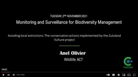 Anel Olivier - Avoiding local extinctions: Conservation by the Zululand Vulture Project